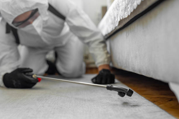 Professional Bed Bug Control technician working in Iron Mountain, MI